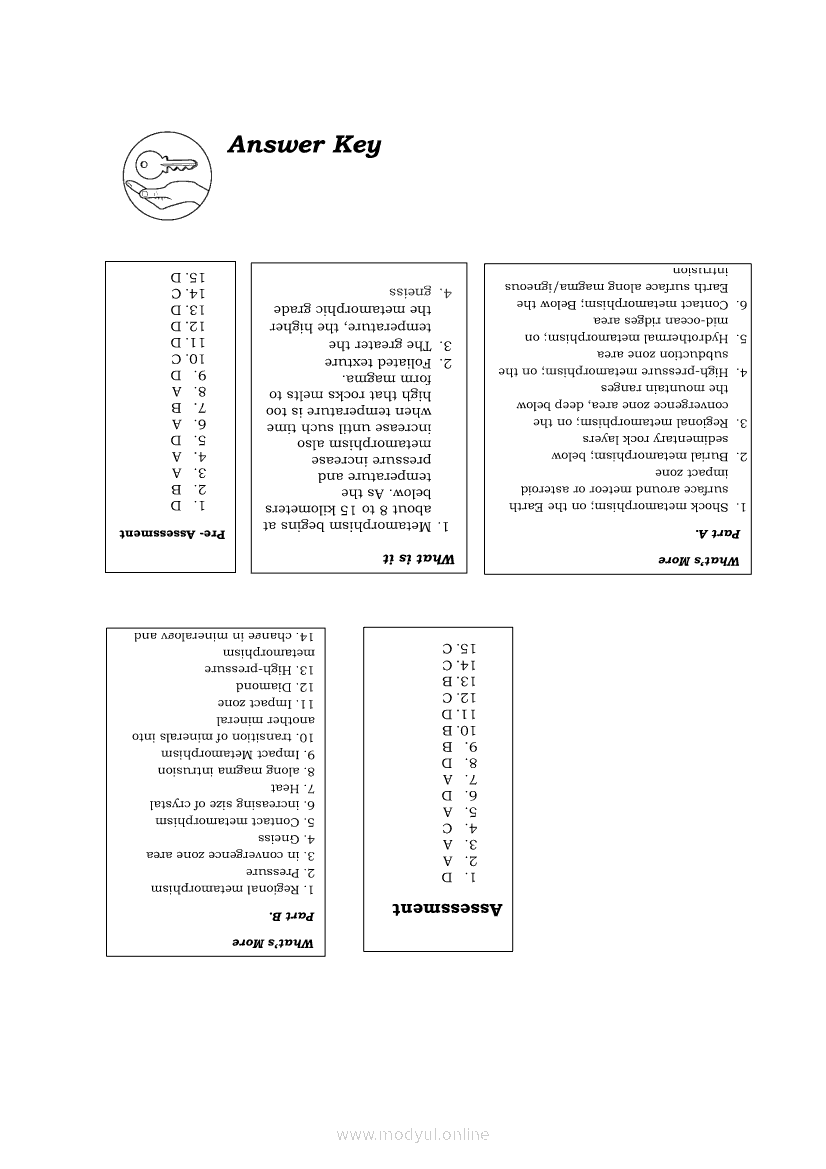 zoom-in-physical-sciences-grade-11-practice-book-and-usb-oxford-digital